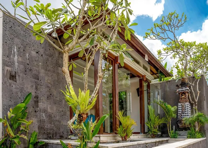  in Canggu (Bali)