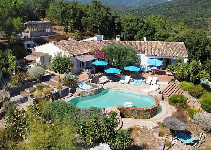  in Grimaud