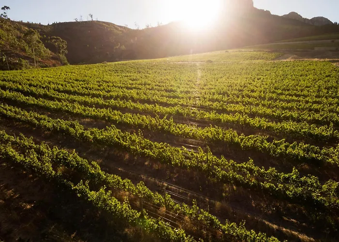  in Stellenbosch
