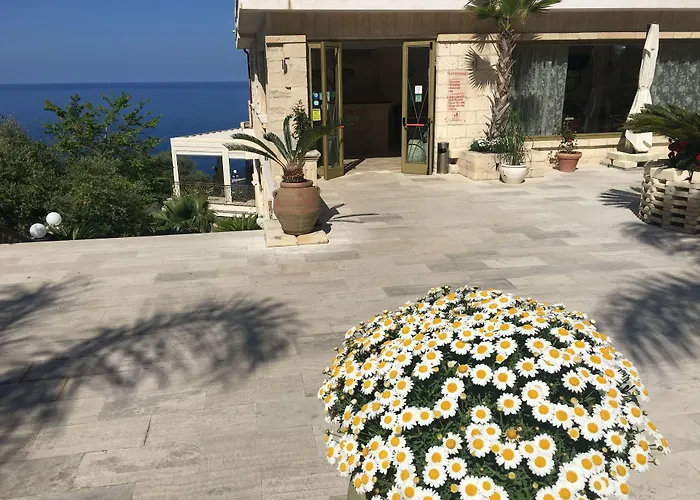  in Palmi