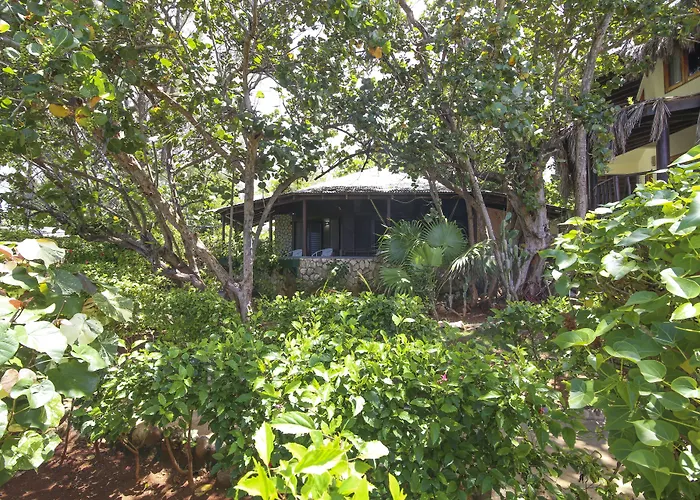  in Negril