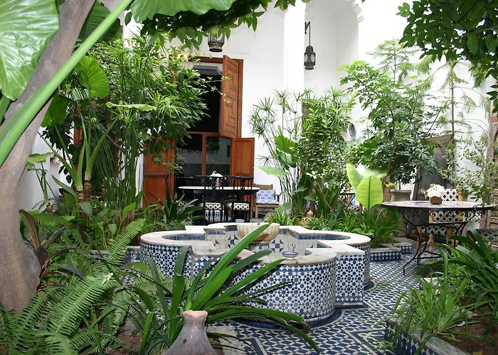  in Fes
